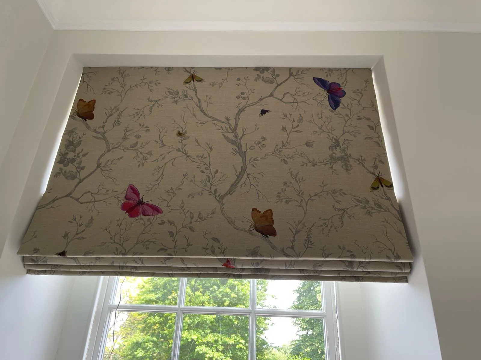 Roman blind in a branch and butterfly print, raised in a sash window recess